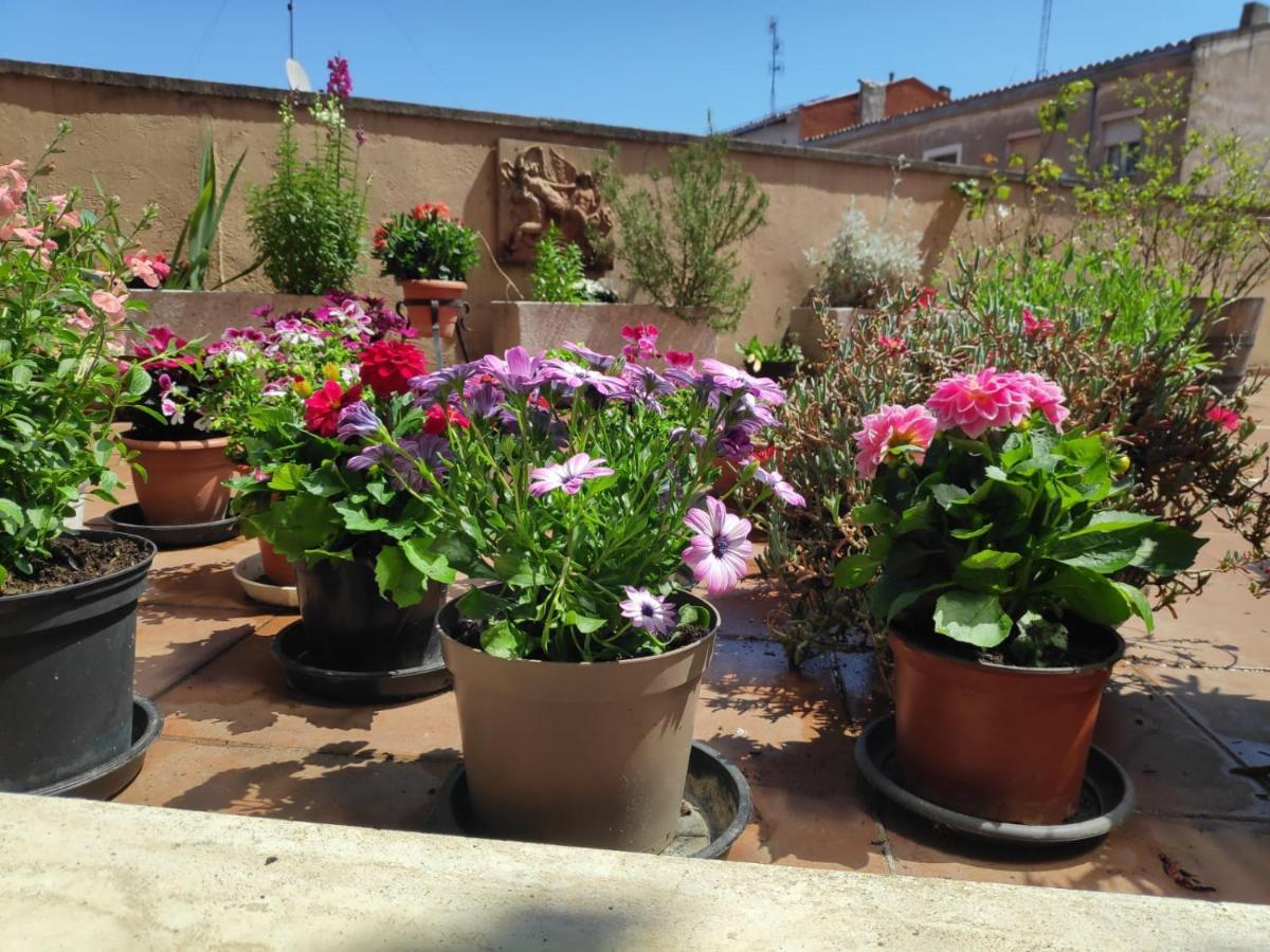 Pension Las Matillas Miranda de Ebro Εξωτερικό φωτογραφία